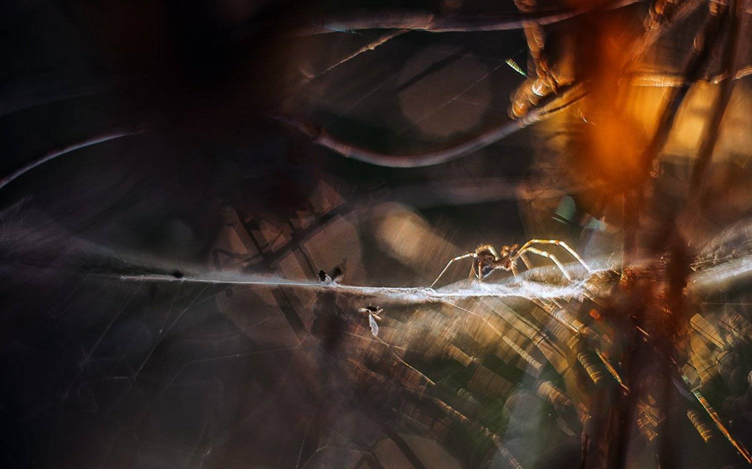 , Татьяна Аверина