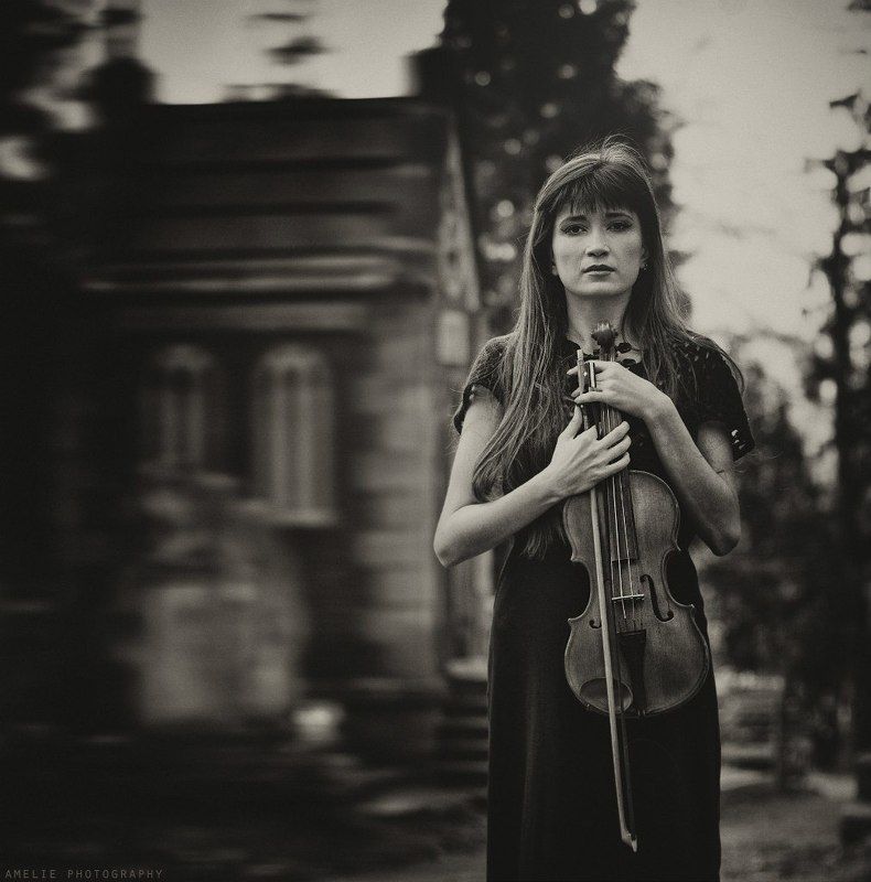 violinist фото превью