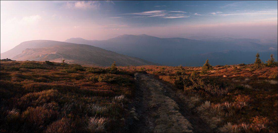 , Полищук И.В.