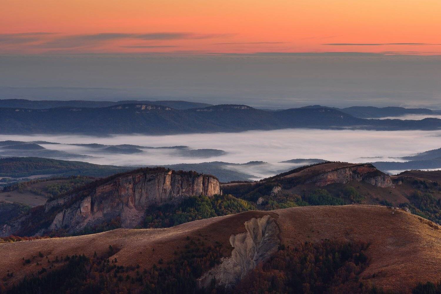 , Максим Евдокимов