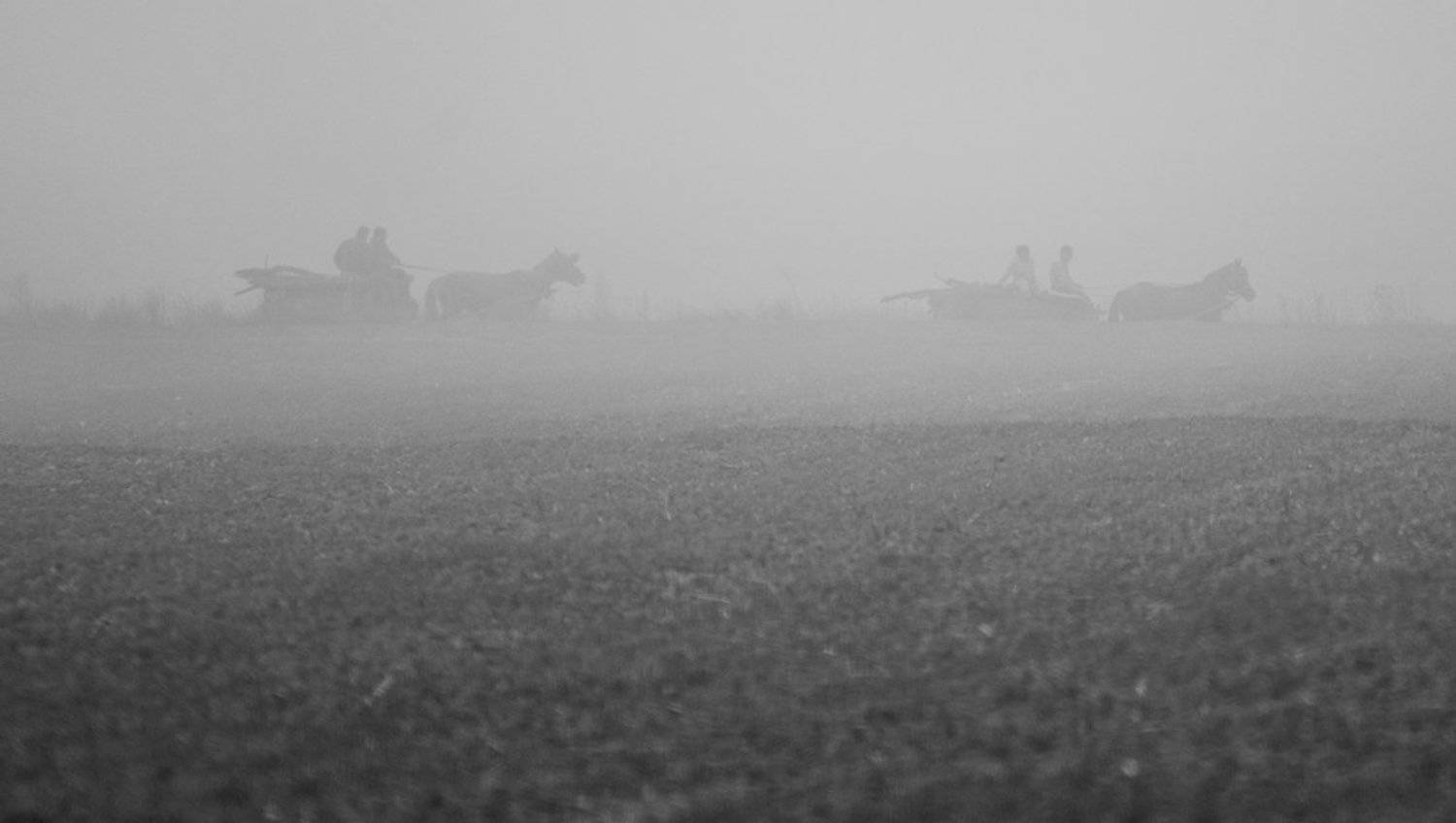 , Philip Peynerdjiev