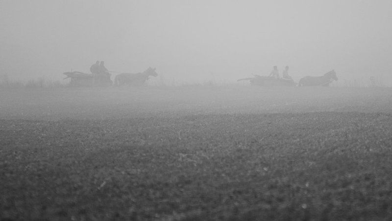 Into The Fog фото превью