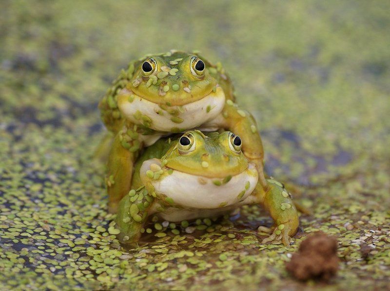 ПрА ЛюбоФ... фото превью