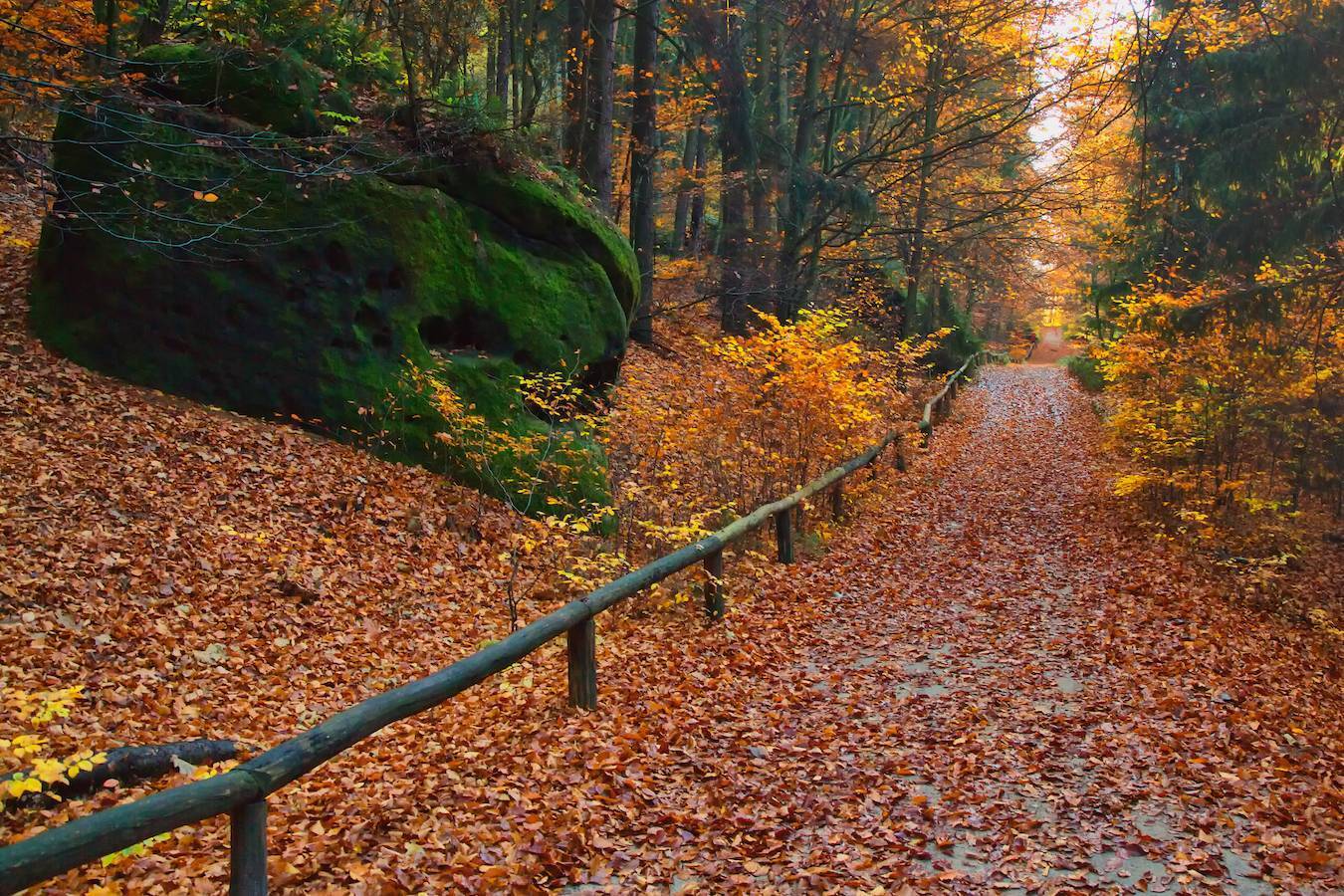 , СПИРИДОНОВ НИКОЛАЙ