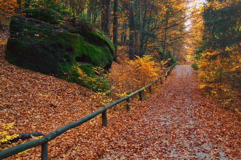 Дорогами осени. фото превью