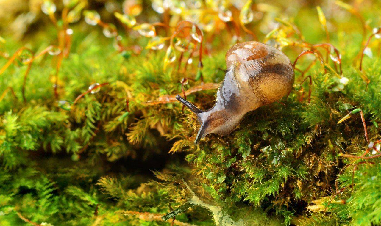 , Чернобай Анна