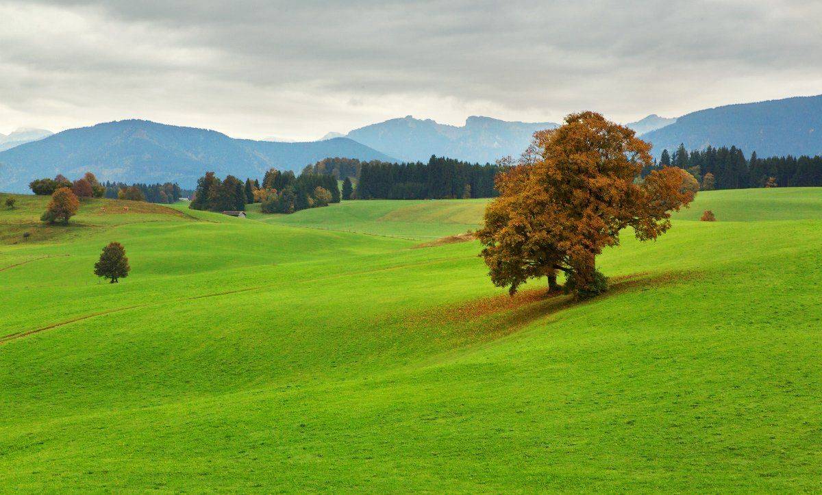 Бавария, Горы, Дерево, Небо, Облака, Пейзаж, Поле, Природа, Александр Удовиченко