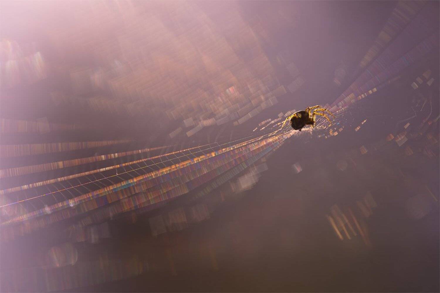 , Геннадий Мещеряков