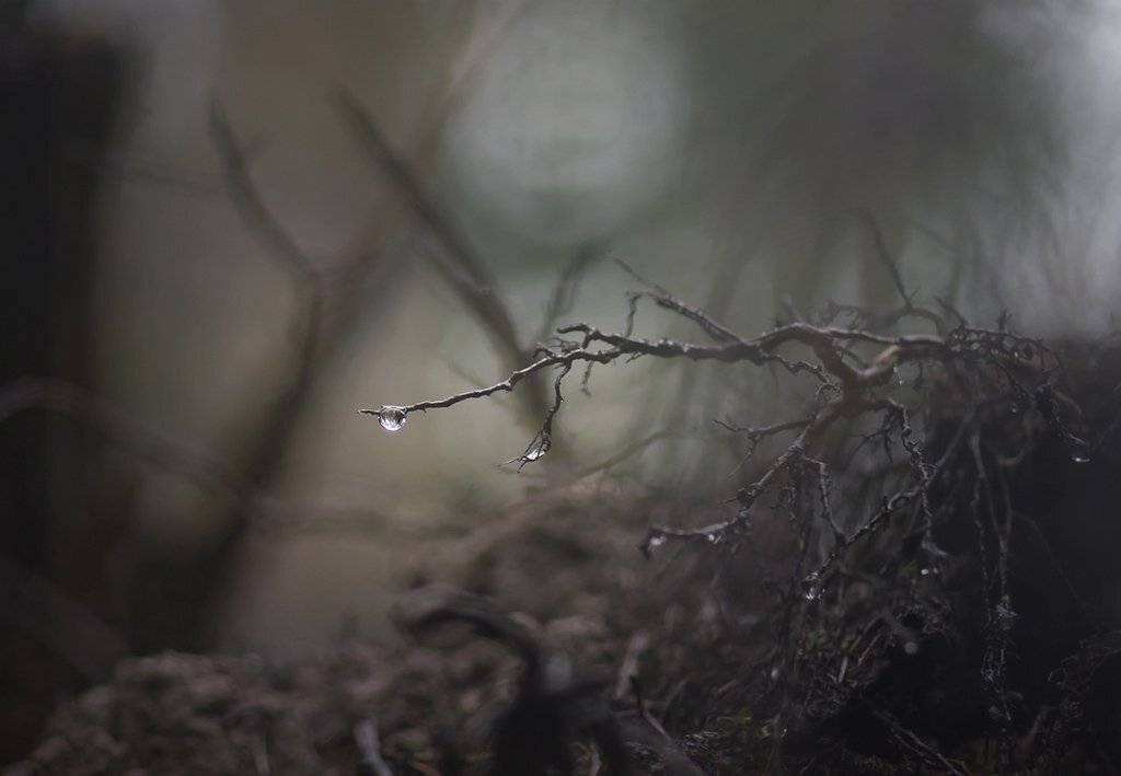 , Валерия Зверева