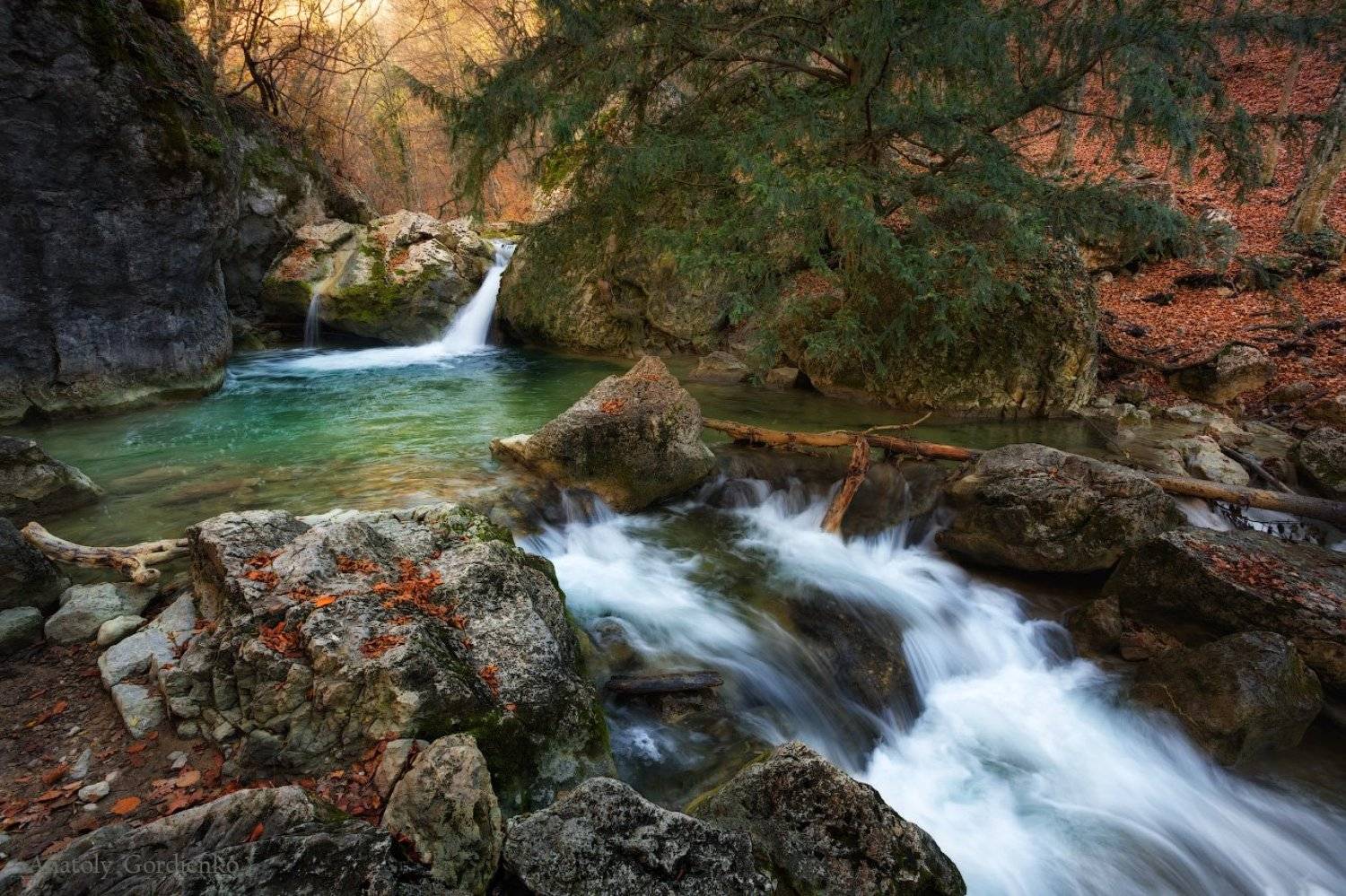 , Анатолий Гордиенко