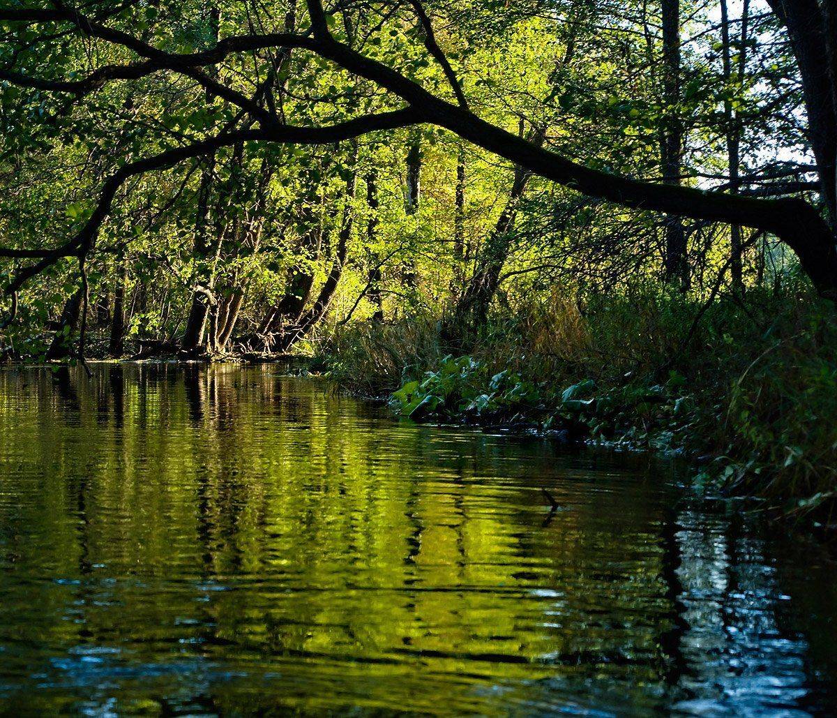река, мещера, свет, ритм, Валерий Пешков
