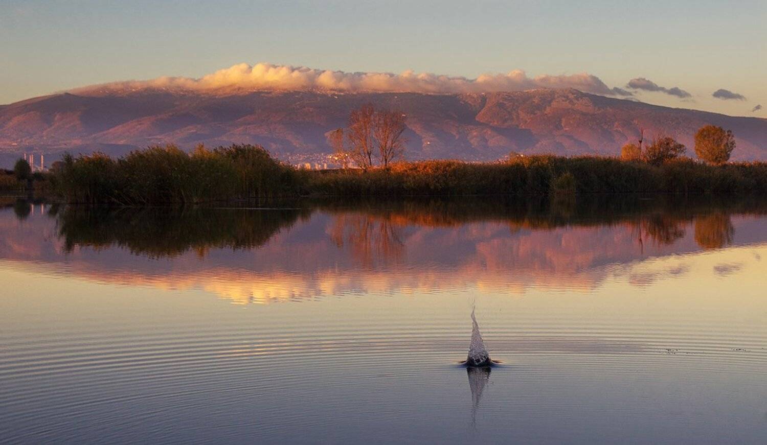 , Ирина Костова