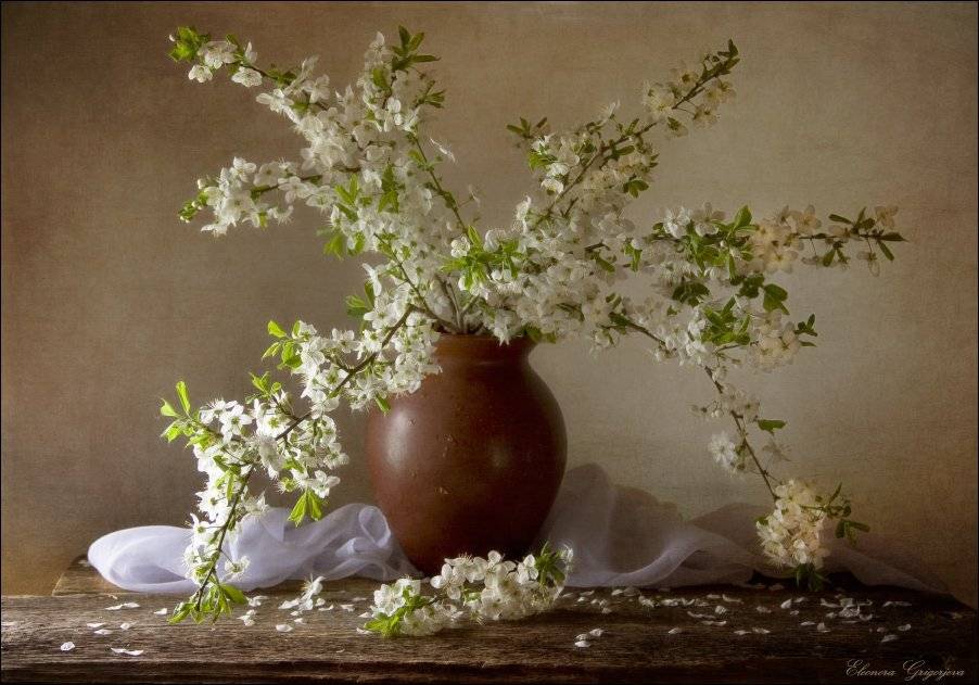 , Eleonora Grigorjeva