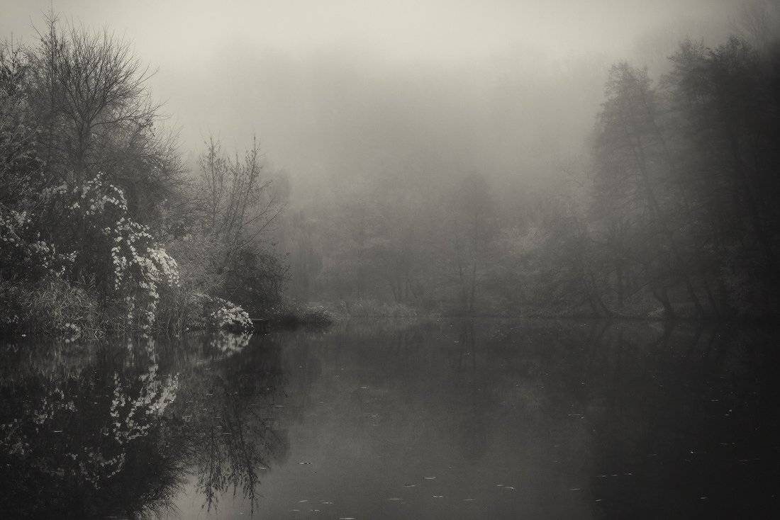 , Ярослав Тюрменко (Jaremi)