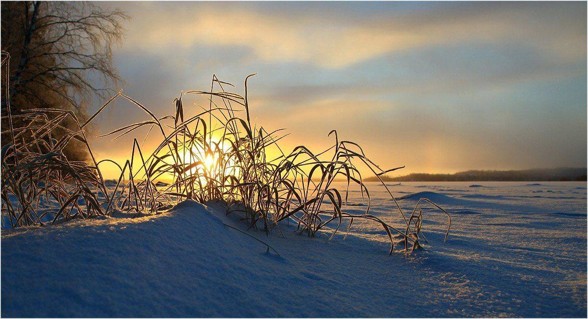 , Valtteri Mulkahainen