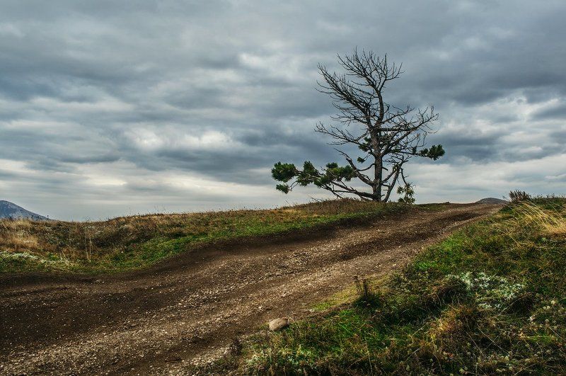 Несломленный фото превью