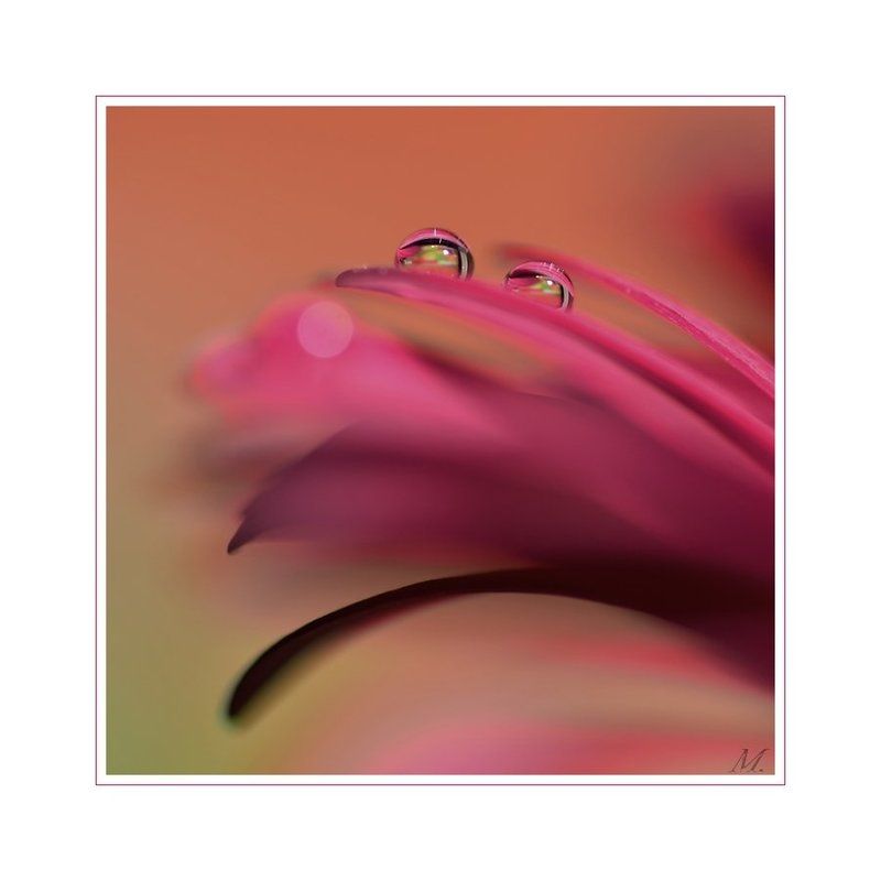 Я и ты фото превью