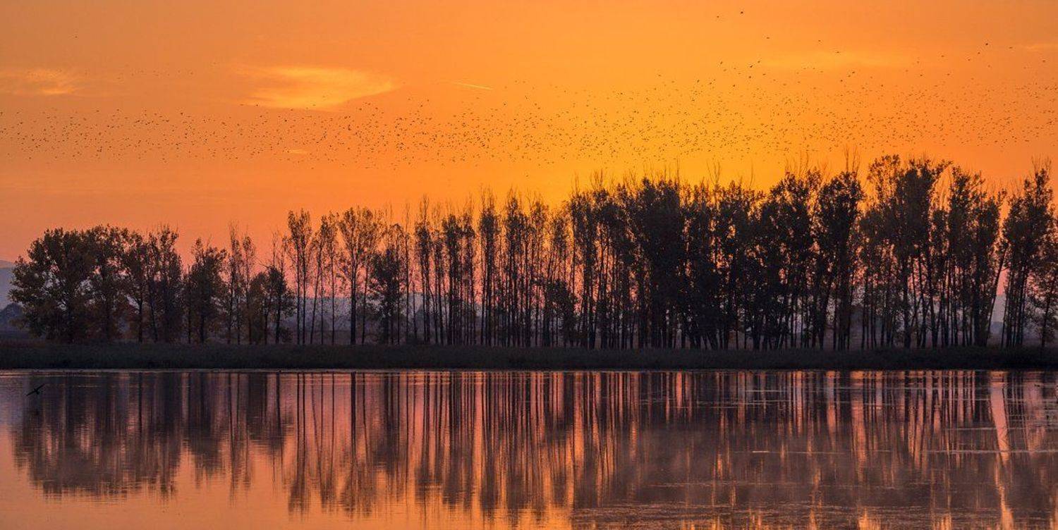 , Philip Peynerdjiev