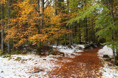 На распутье 