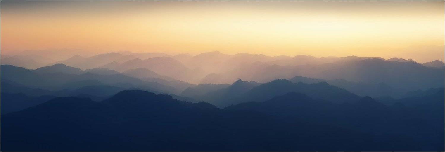 , Денис Кривой