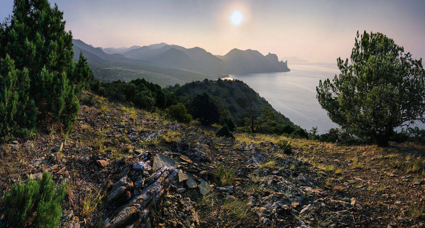 , Маркович Михаил