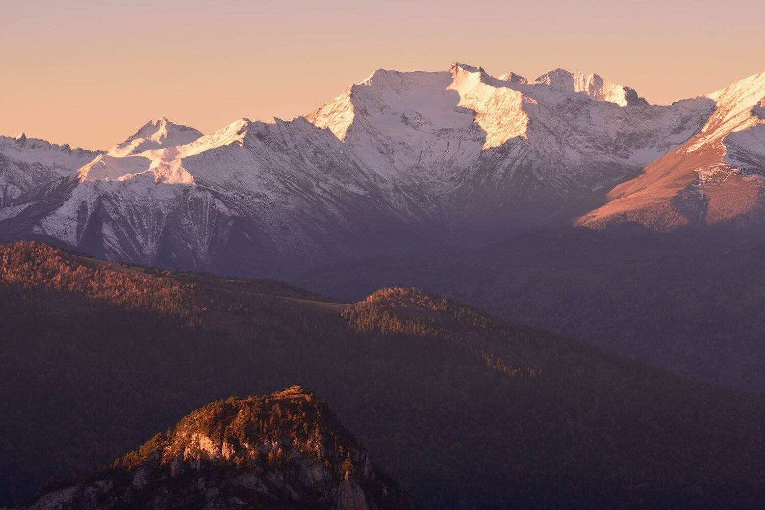 , Максим Евдокимов