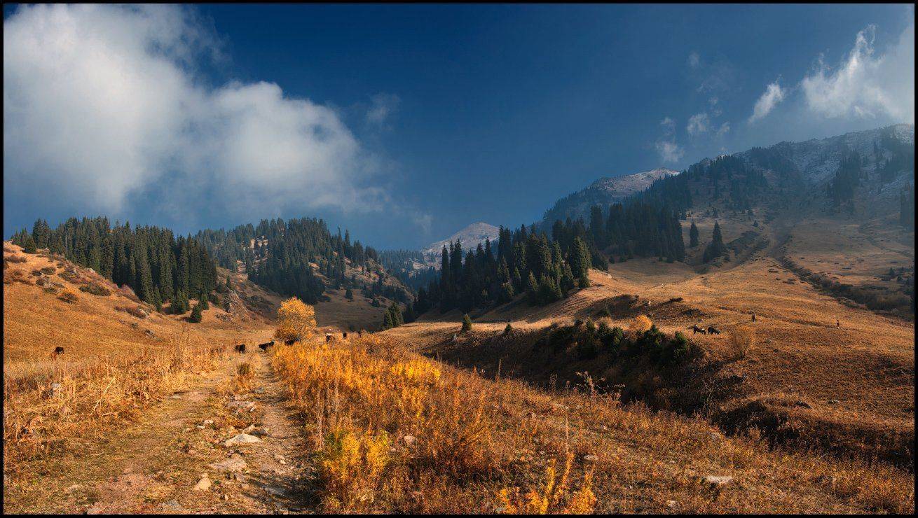 , Ольга Кулакова