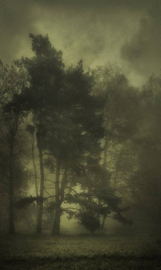 , Михаил  Пилипенко