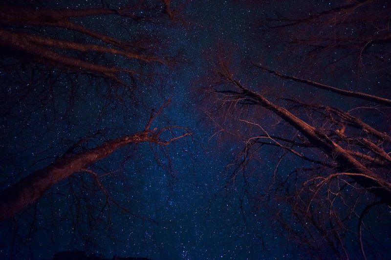 Под звёздами фото превью