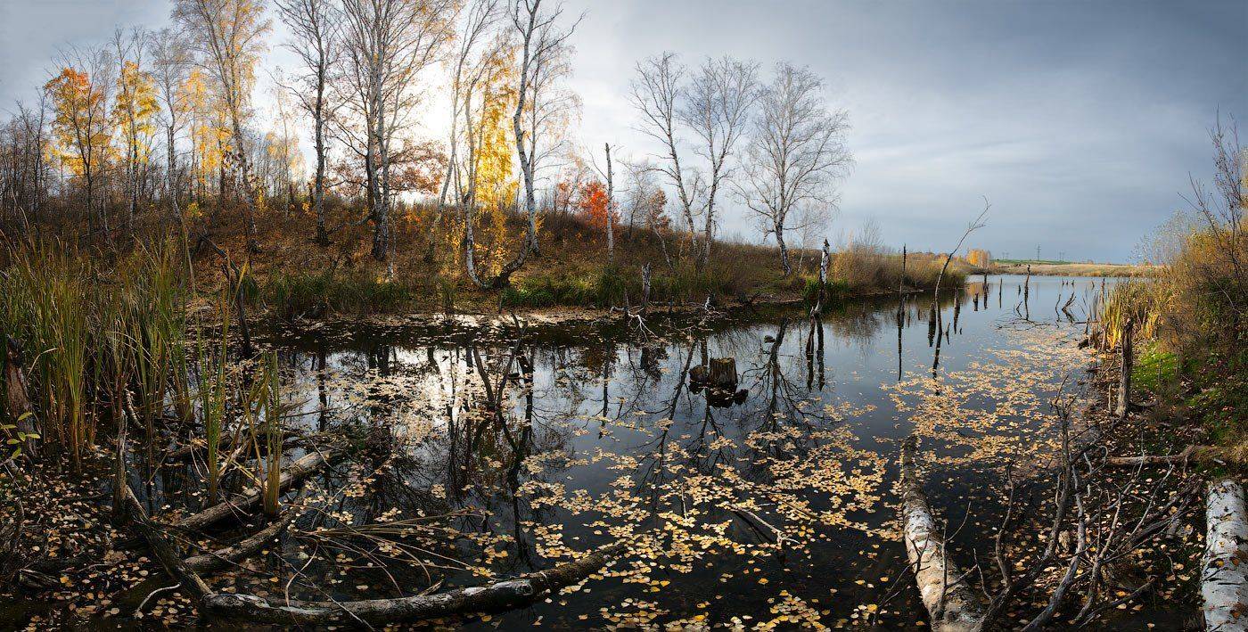 , Владимир Ляпин