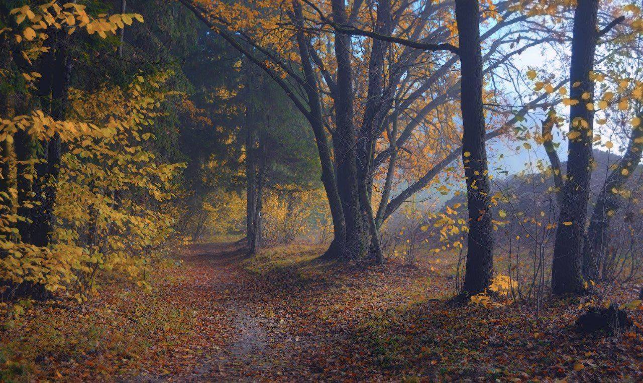 , Сергей Харитон