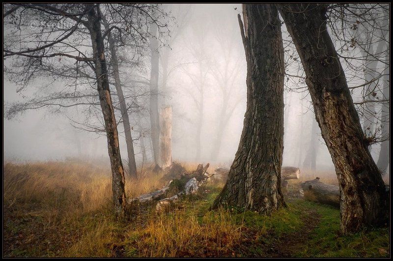 bulgaria, sofia  фото превью