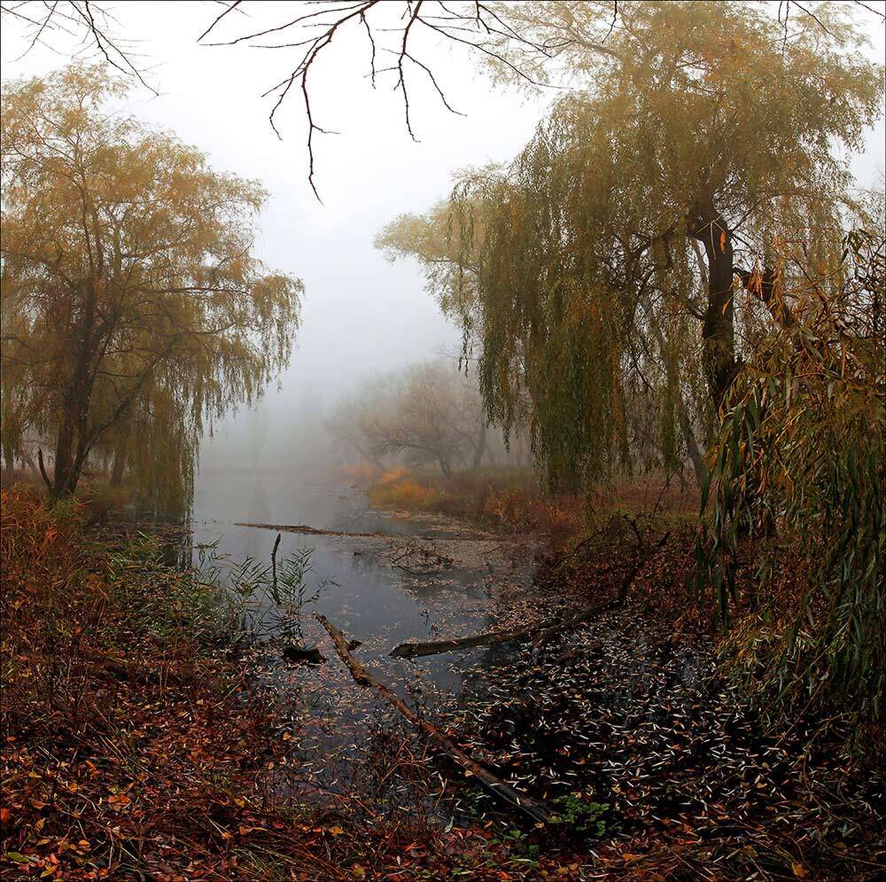 , Петриченко Валерий
