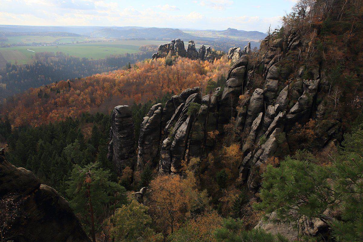 , Игорь Дубровский