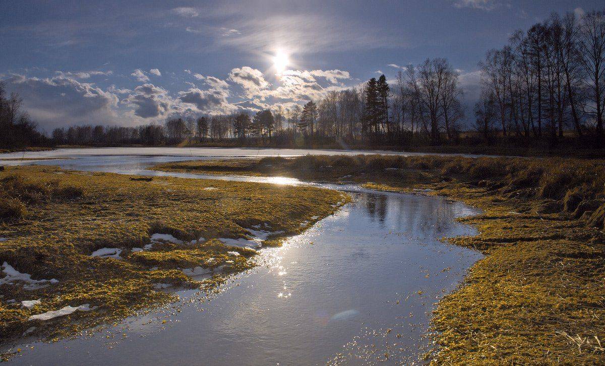 , Николай Морский