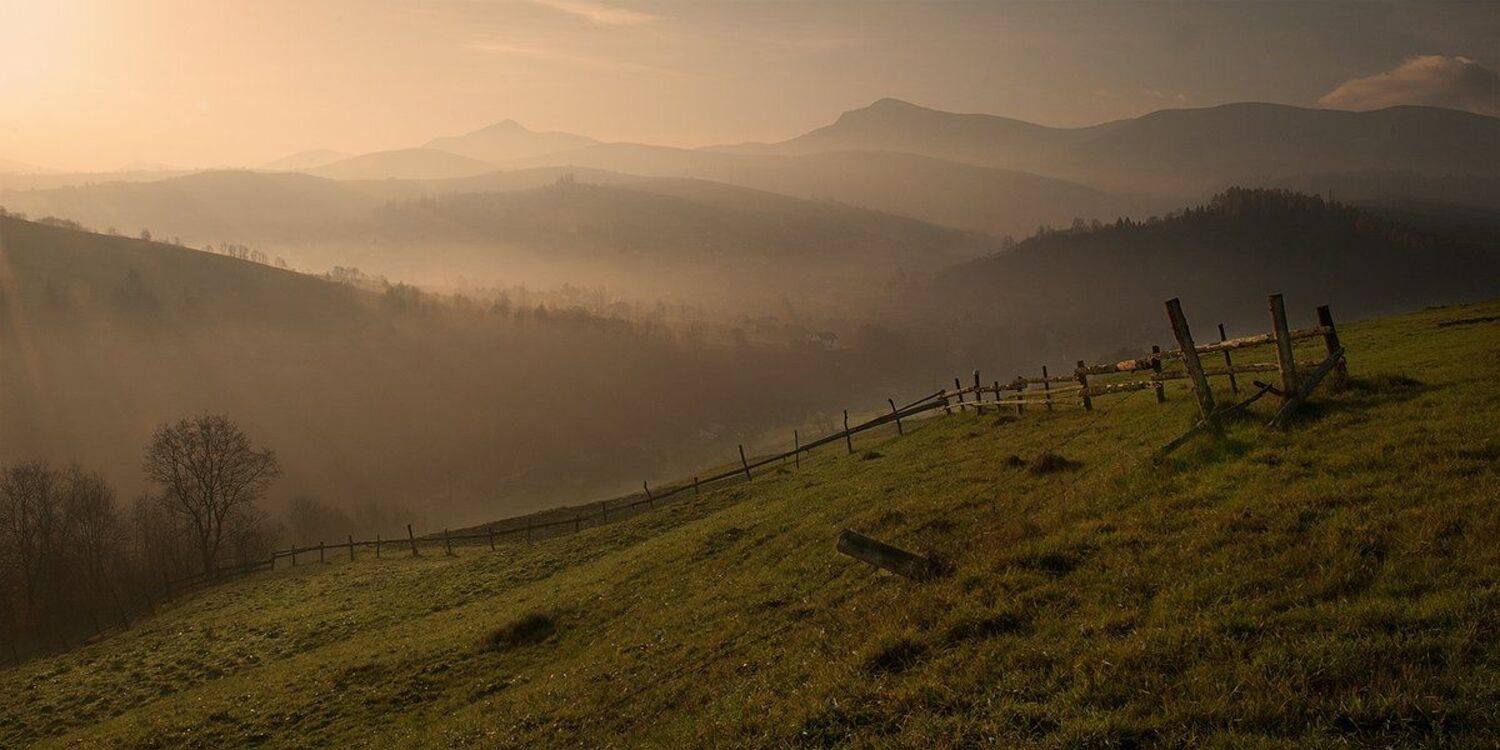 утро, туман, карпаты, холмы, горы, Dmitry Kravchenko