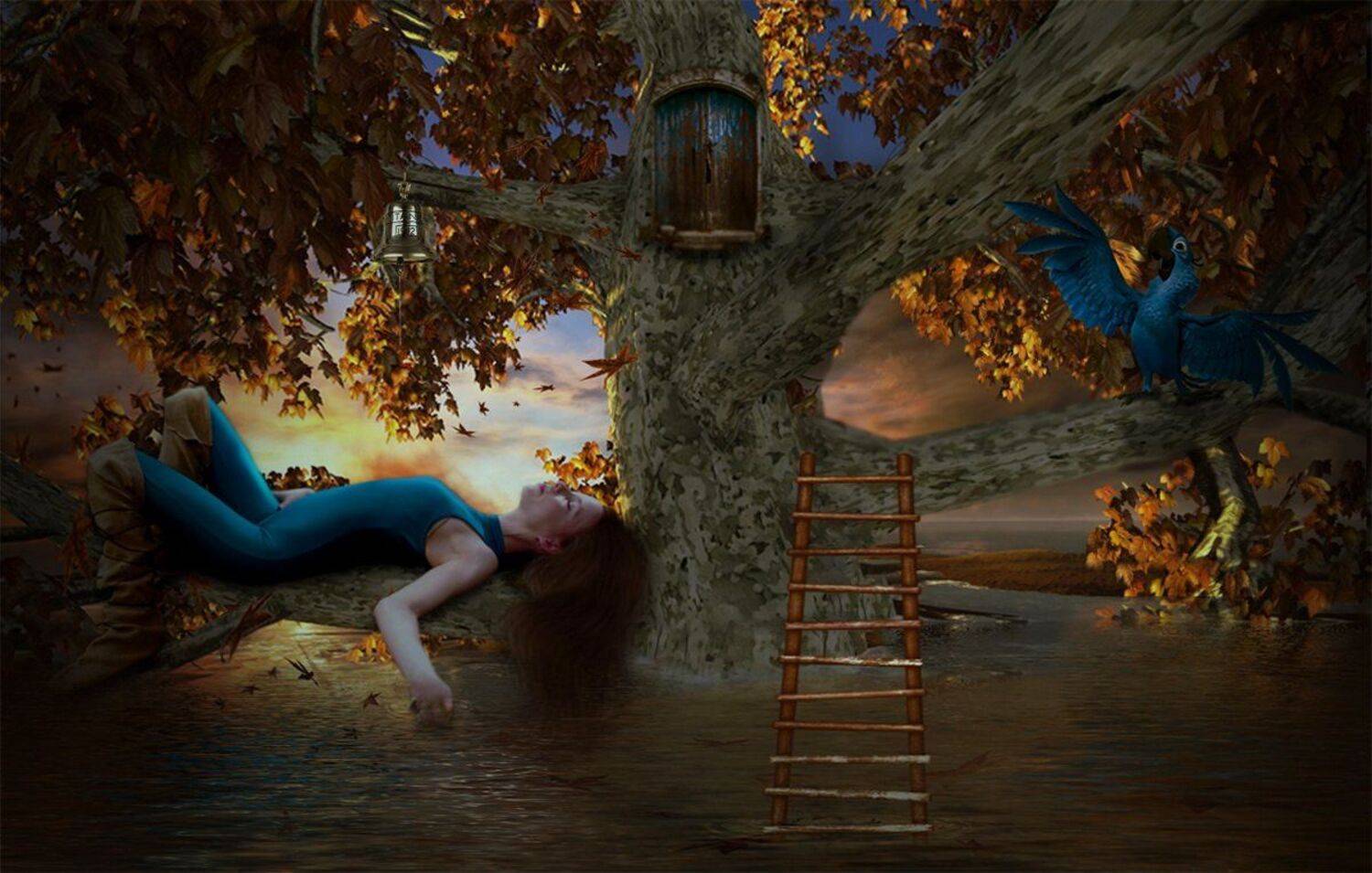 коллаж, Nataliorion