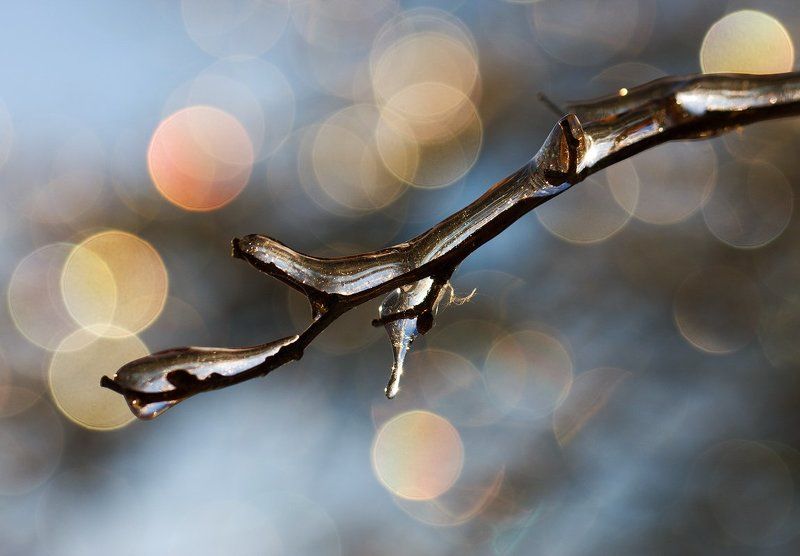 *** фото превью