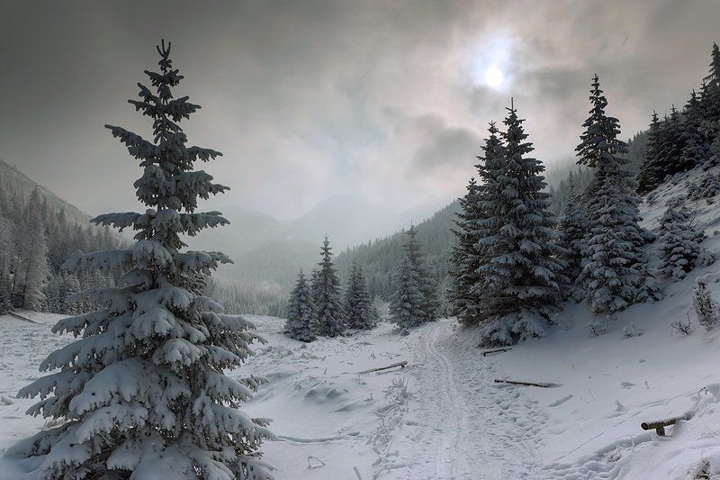 Прошлогодний снег. фото превью