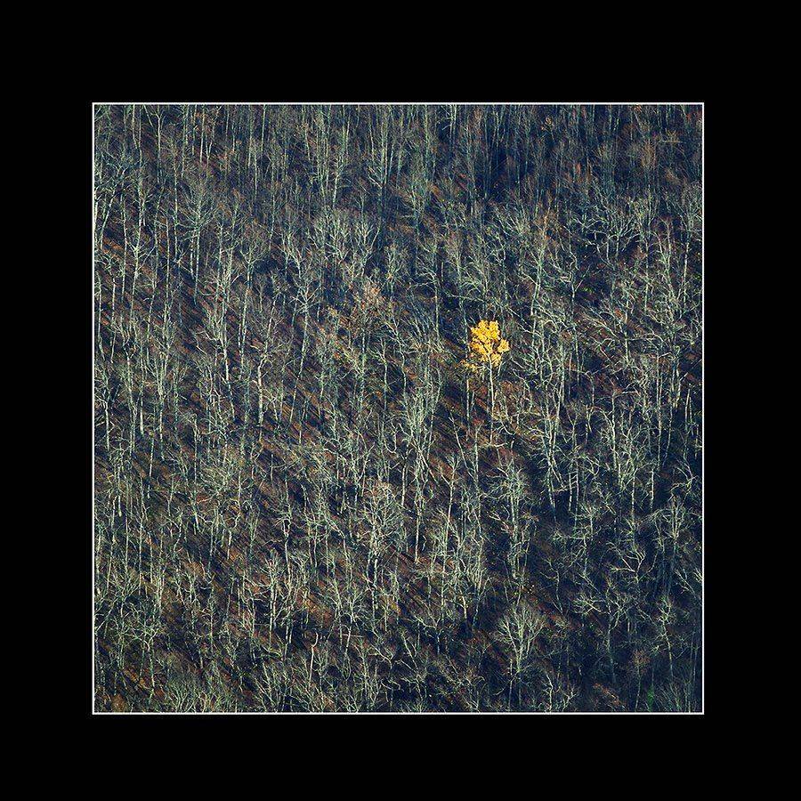 , Сидоренко Алексей