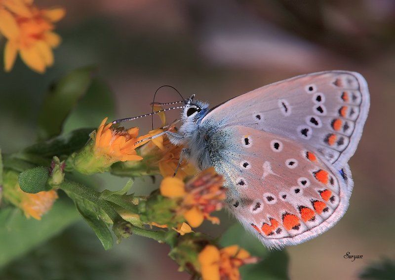 А кушать то как хочется фото превью
