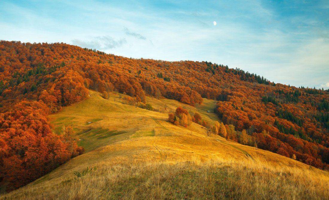 , Ярослав Тюрменко (Jaremi)