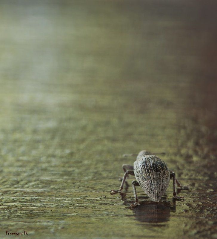Прогнали... фото превью