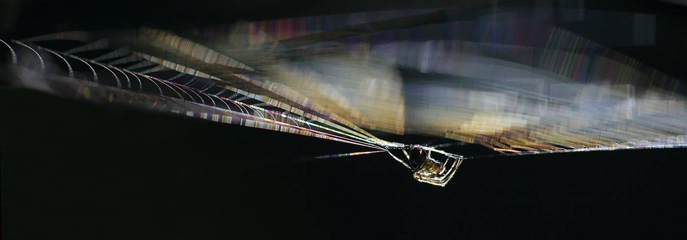 , Иваненко Светлана