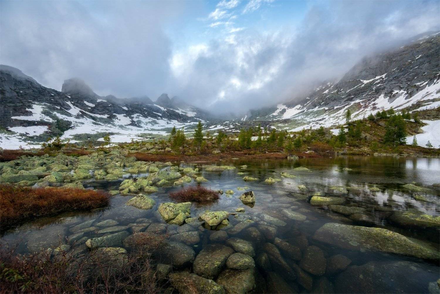 , Андрей Грачев