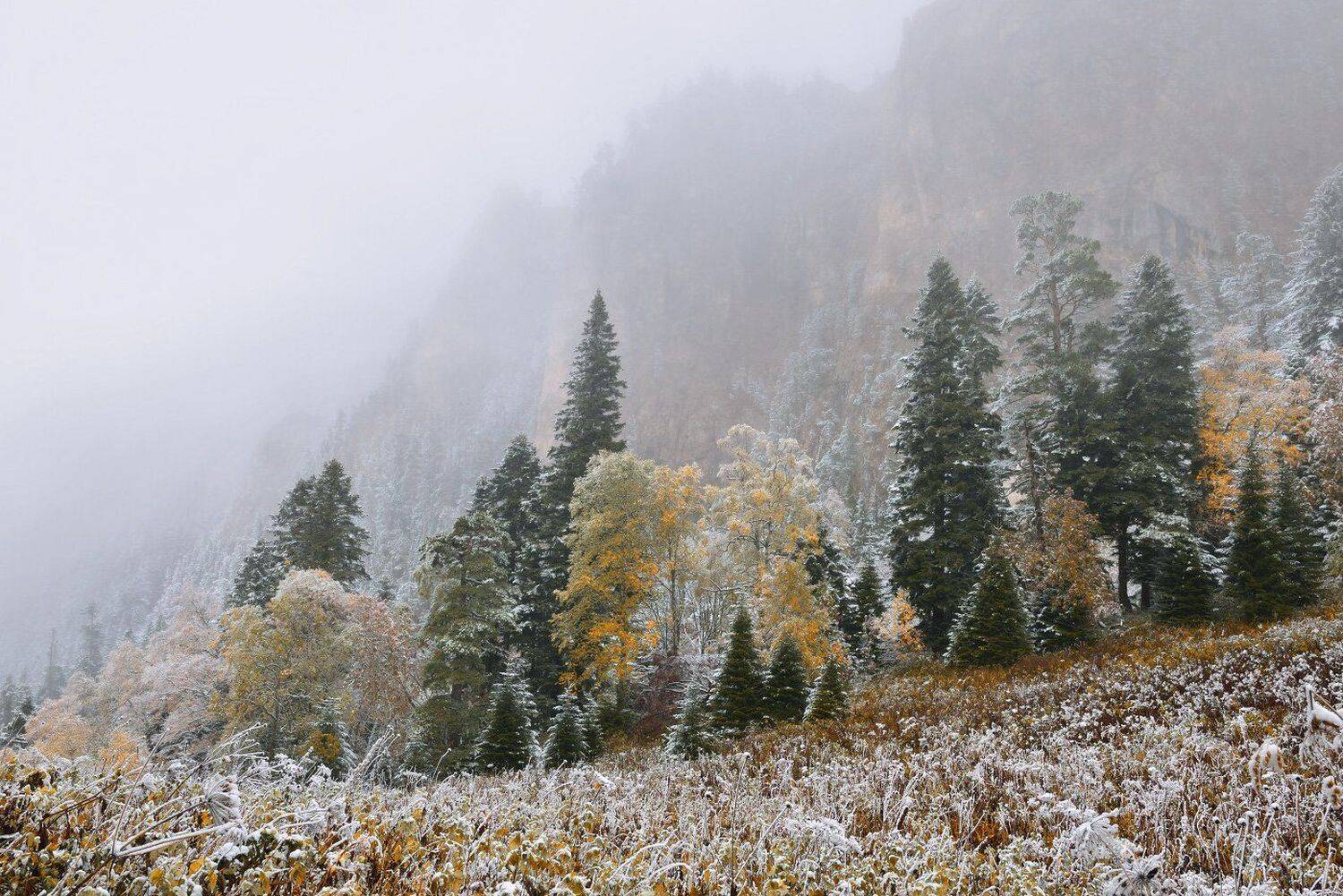 , Максим Евдокимов