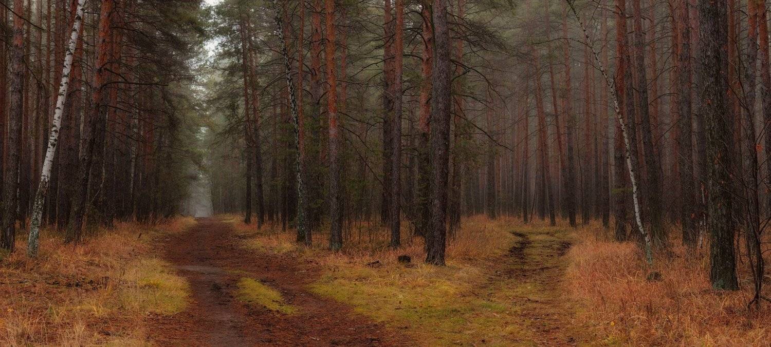 На распутье. Автор: marateaman , marateaman