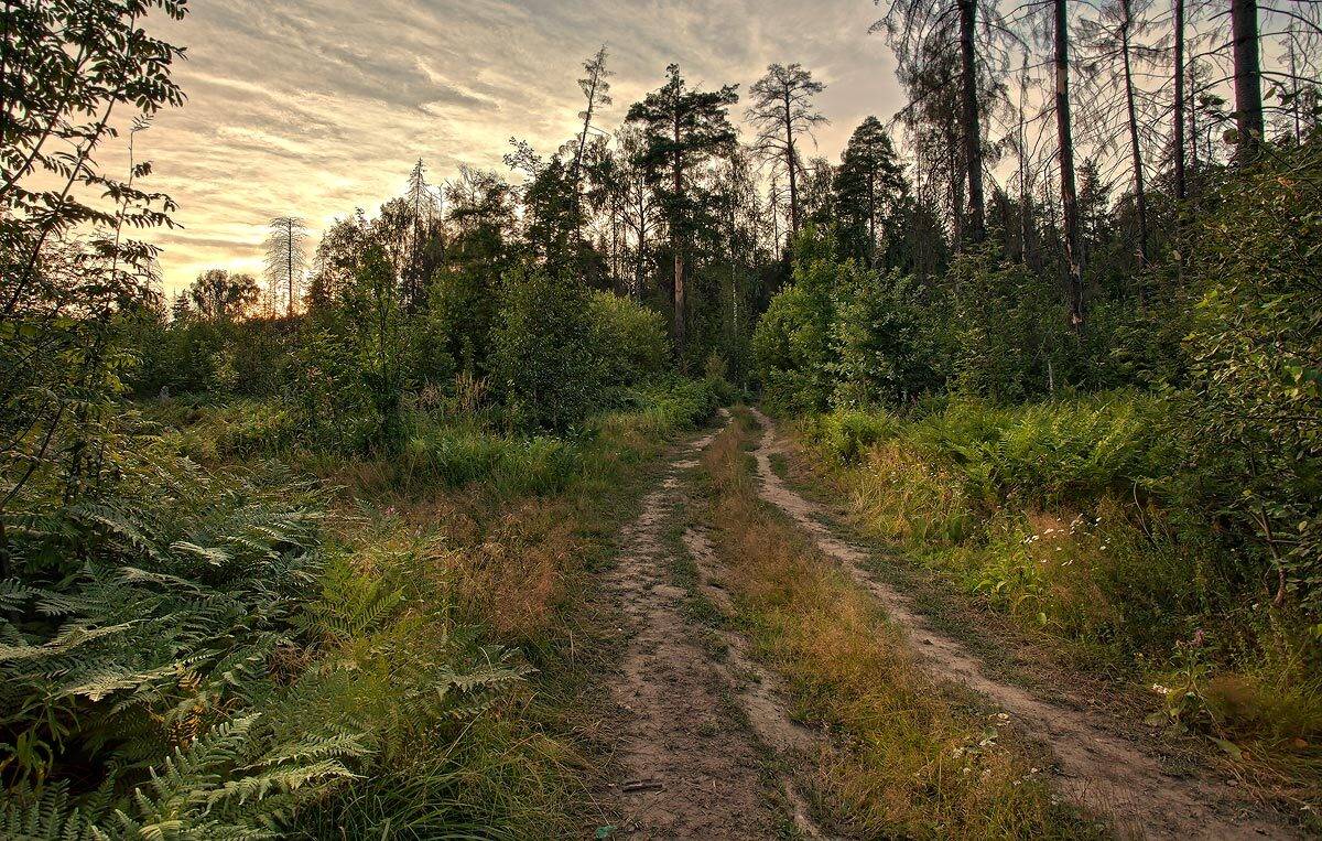 купавна., подмосковье, Андрей Леонидович