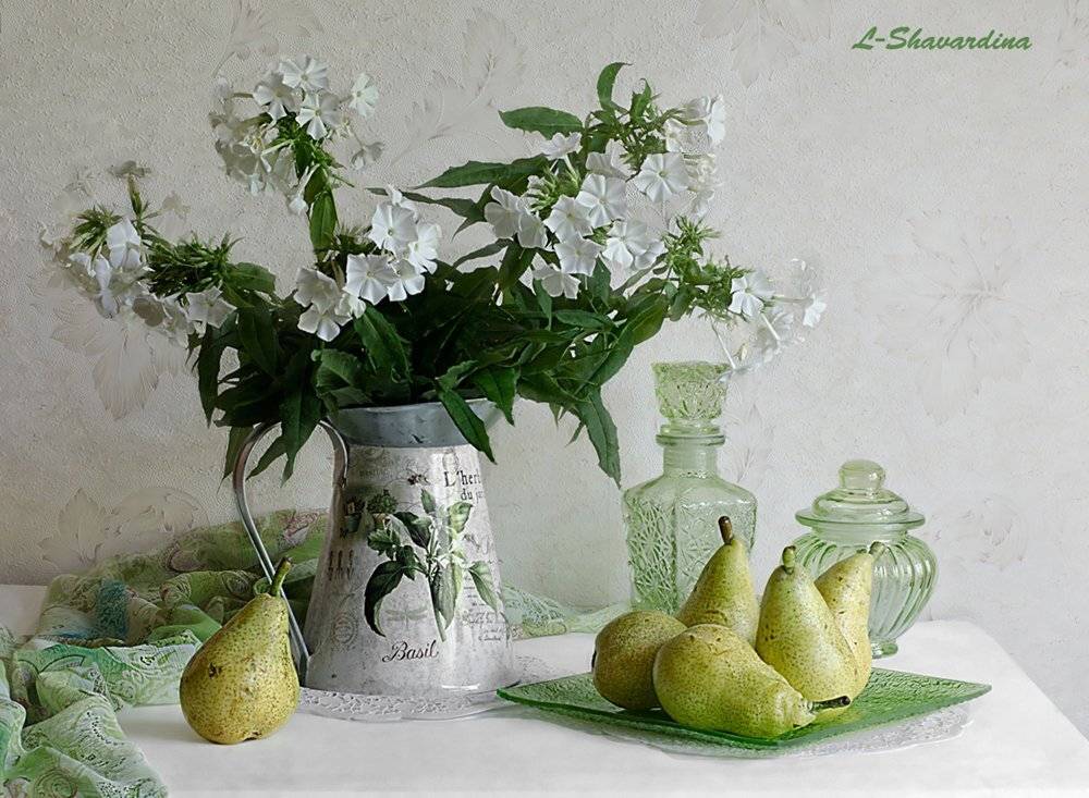 , Елизавета Шавардина