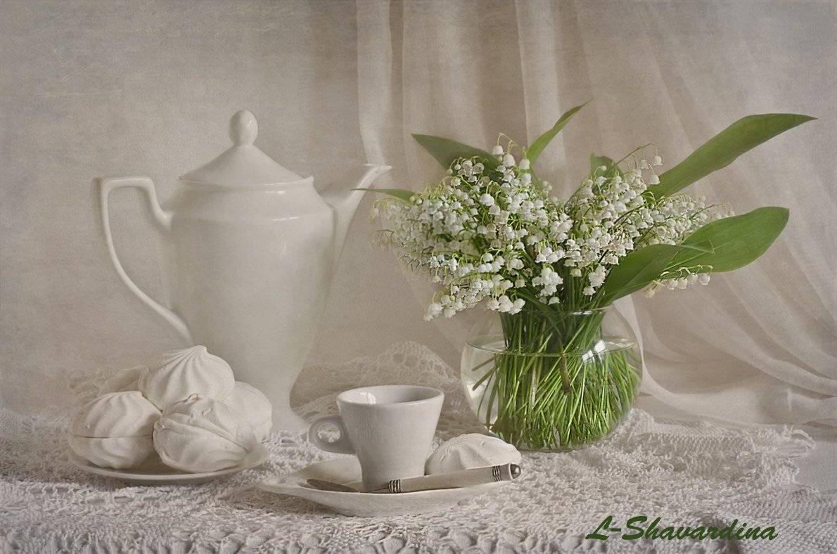 , Елизавета Шавардина